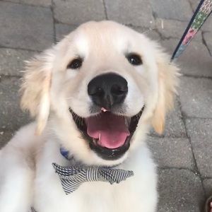 Meet your Posher, Mary kate